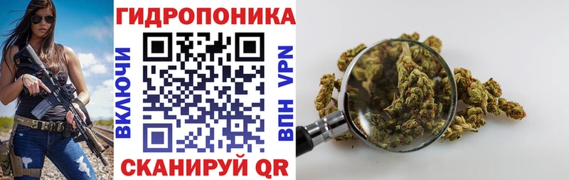 Купить  Омутнинск  Бошки марихуана план 